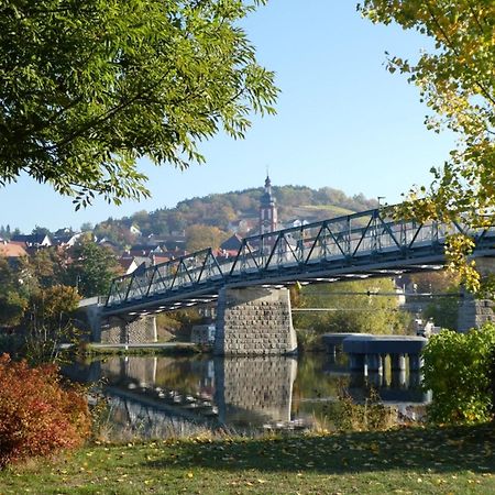 Ifam - Ihr Ferienhaus Am Main Zellingen Εξωτερικό φωτογραφία
